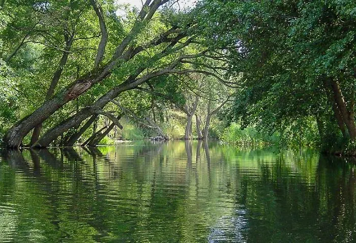 Casa de Férias Sworny Swornegacie